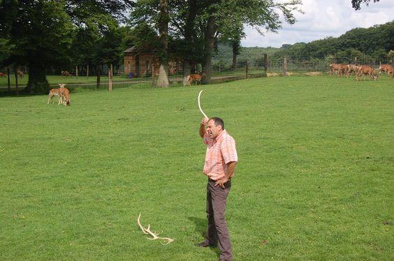 DSC_0106 [50%] [50%].JPG